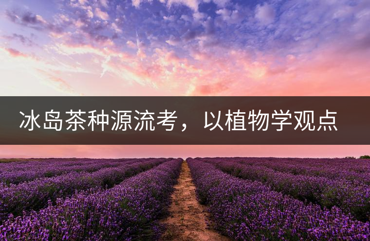 冰島茶種源流考，以植物學觀點解讀冰島茶