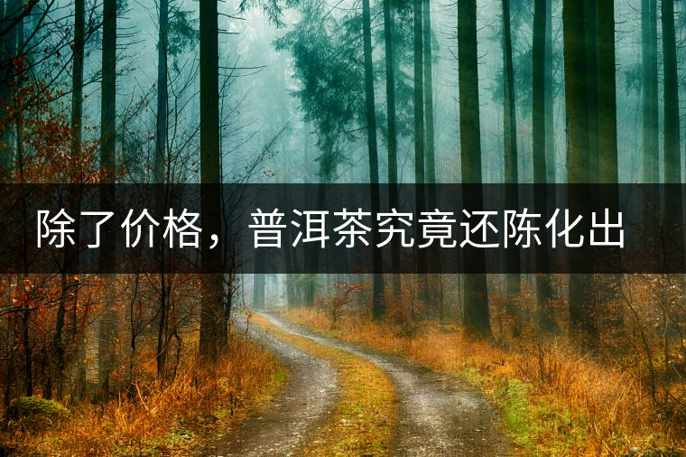 除了價格，普洱茶究竟還陳化出了啥？