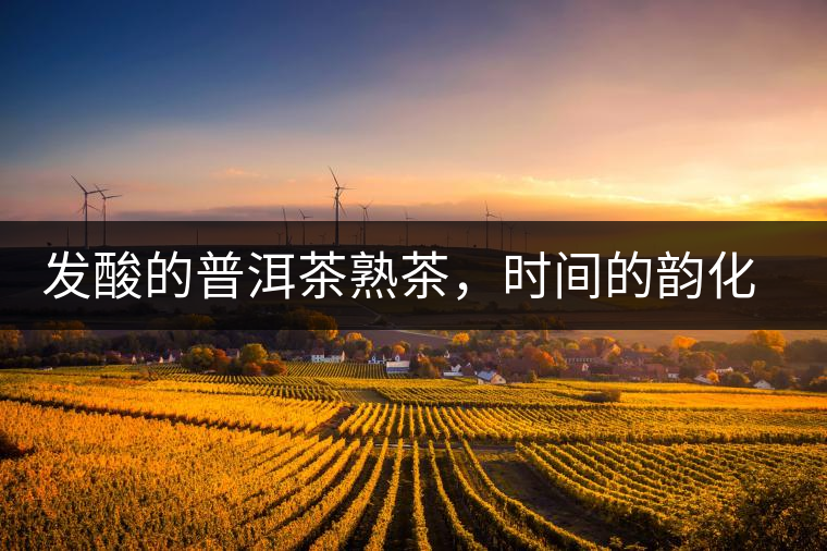 發(fā)酸的普洱茶熟茶，時間的韻化會讓它驚艷無比！