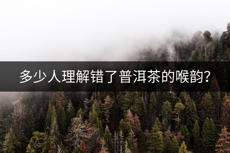 多少人理解錯了普洱茶的喉韻？