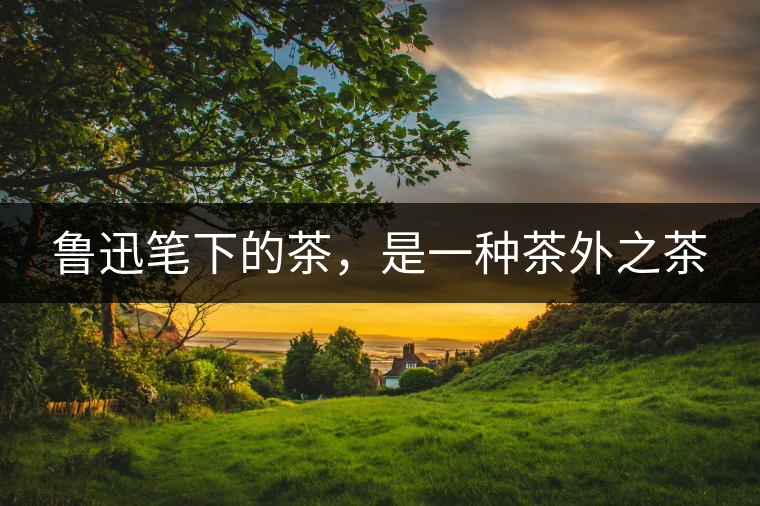 魯迅筆下的茶，是一種茶外之茶