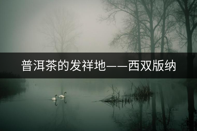 普洱茶的發(fā)祥地——西雙版納