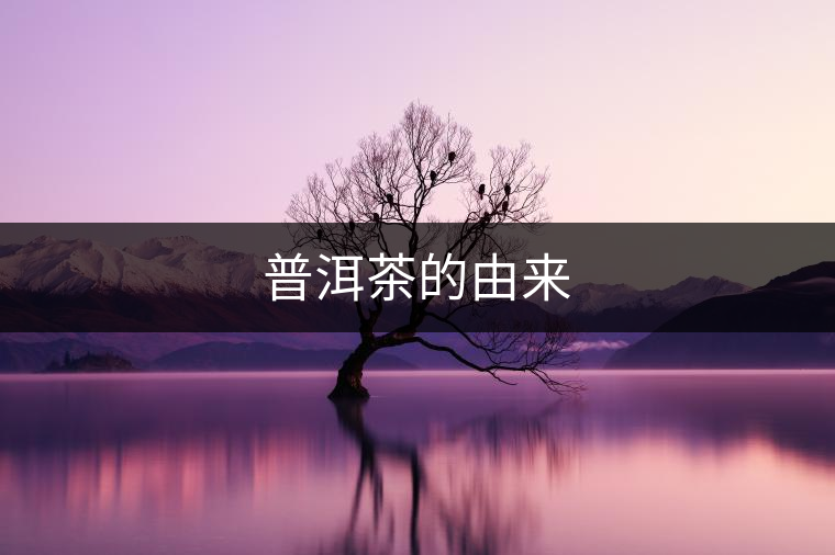 普洱茶的由來
