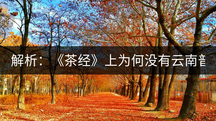 解析：《茶經(jīng)》上為何沒(méi)有云南普洱茶 ？