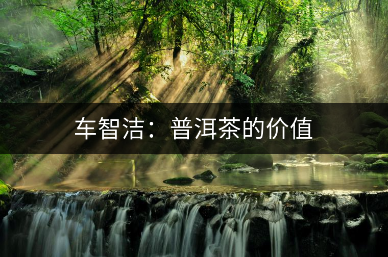 車(chē)智潔：普洱茶的價(jià)值