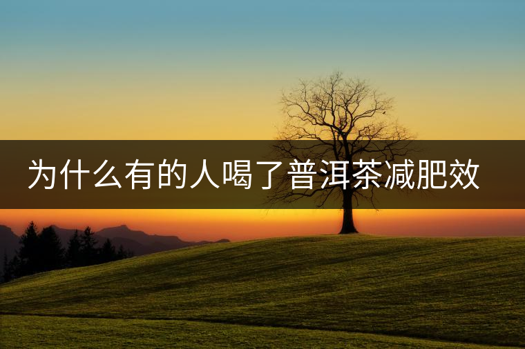 為什么有的人喝了普洱茶減肥效果不明顯呢？