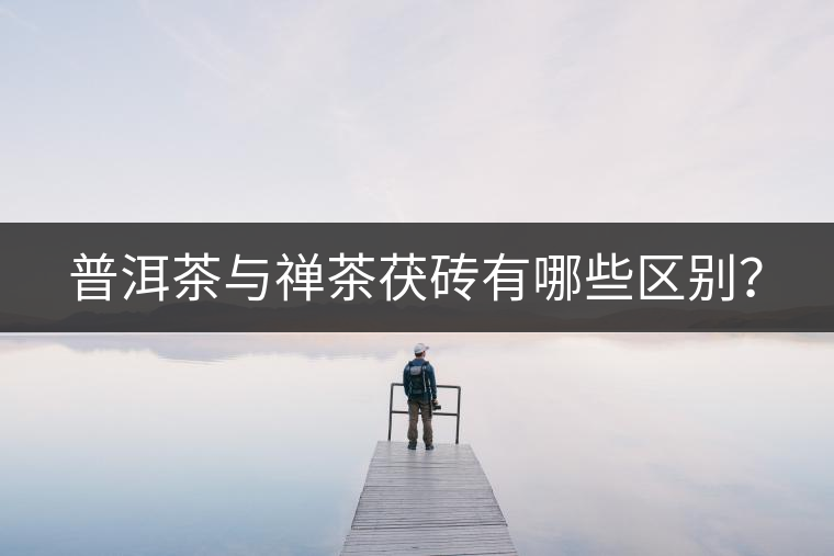 普洱茶與禪茶茯磚有哪些區(qū)別？