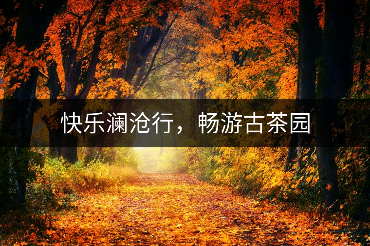 快樂瀾滄行，暢游古茶園