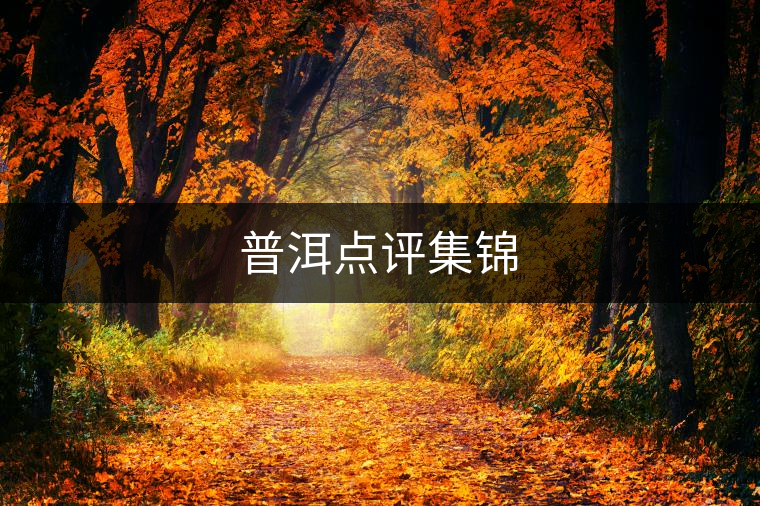 普洱點(diǎn)評(píng)集錦 普洱點(diǎn)評(píng)集錦