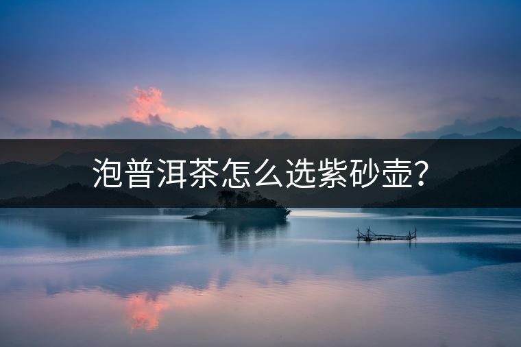 泡普洱茶怎么選紫砂壺？