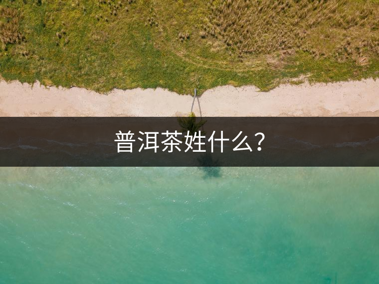 普洱茶姓什么？