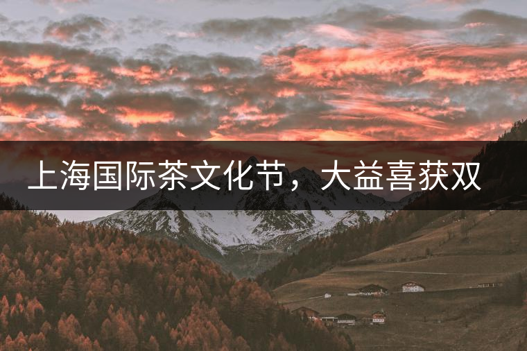 上海國(guó)際茶文化節(jié)，大益喜獲雙獎(jiǎng)