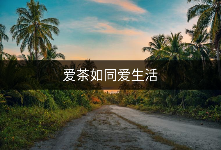 愛(ài)茶如同愛(ài)生活 愛(ài)茶如同愛(ài)生活
