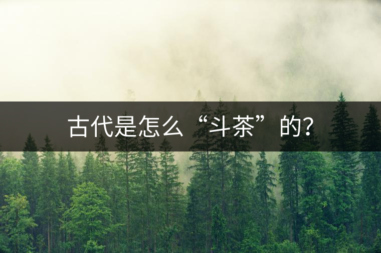 古代是怎么“斗茶”的？