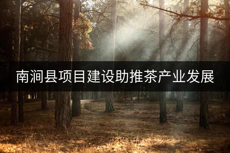 南澗縣項目建設助推茶產(chǎn)業(yè)發(fā)展