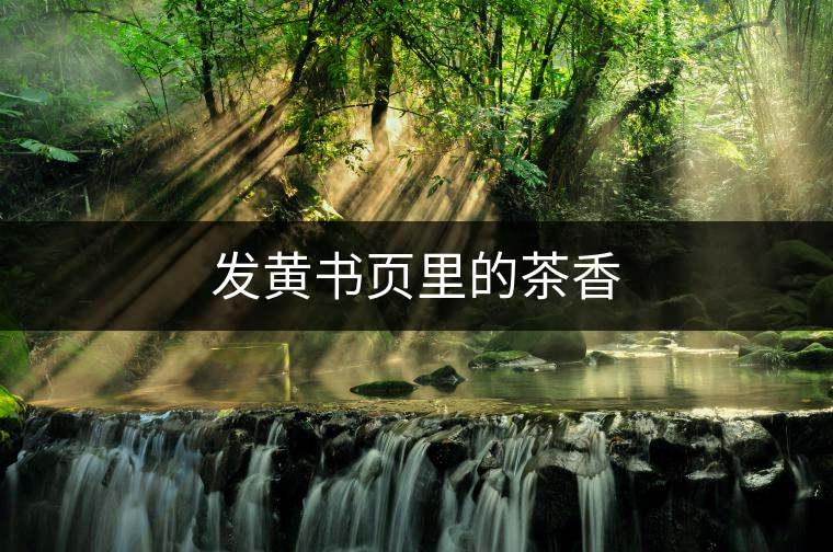 發(fā)黃書(shū)頁(yè)里的茶香