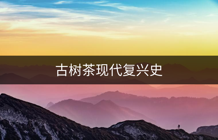 古樹(shù)茶現(xiàn)代復(fù)興史 古樹(shù)茶現(xiàn)代復(fù)興史