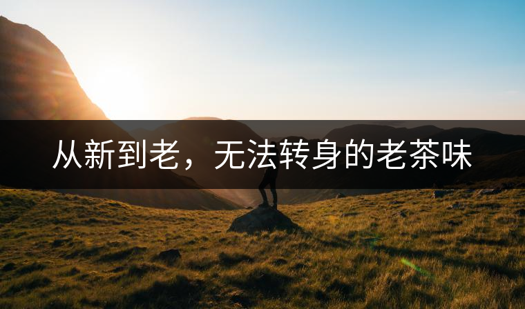 從新到老，無法轉(zhuǎn)身的老茶味