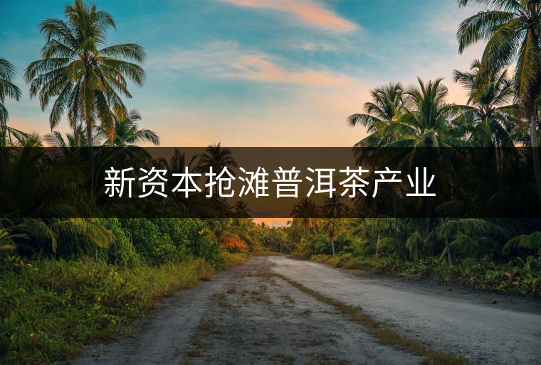 新資本搶灘普洱茶產業(yè)