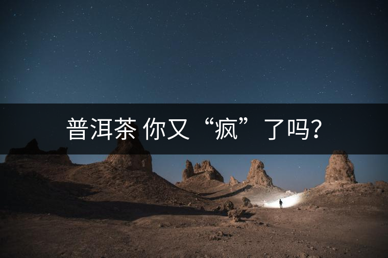普洱茶 你又“瘋”了嗎？