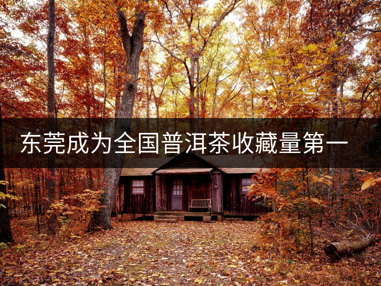 東莞成為全國普洱茶收藏量第一位的城市？