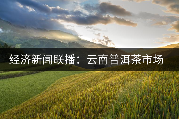 經(jīng)濟新聞聯(lián)播:云南普洱茶市場調查 經(jīng)濟新聞聯(lián)播:云南普洱茶市場調查