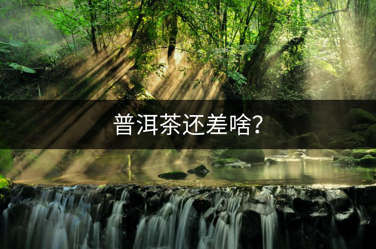 普洱茶還差啥？