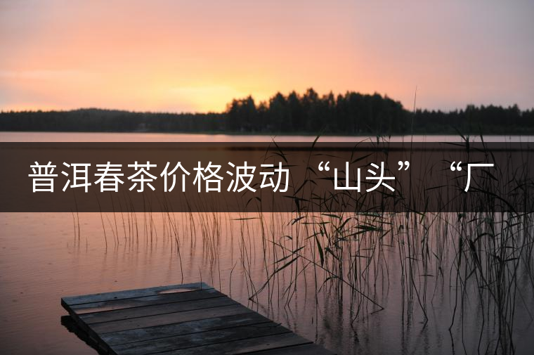 普洱春茶價(jià)格波動 “山頭”“廠貨”大不同——名山古樹 品的是歷史文化 普洱春茶價(jià)格波動 “山頭”“廠貨”大不同——名山古樹 品的是歷史文化