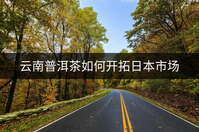 云南普洱茶如何開拓日本市場(chǎng) 云南普洱茶如何開拓日本市場(chǎng)