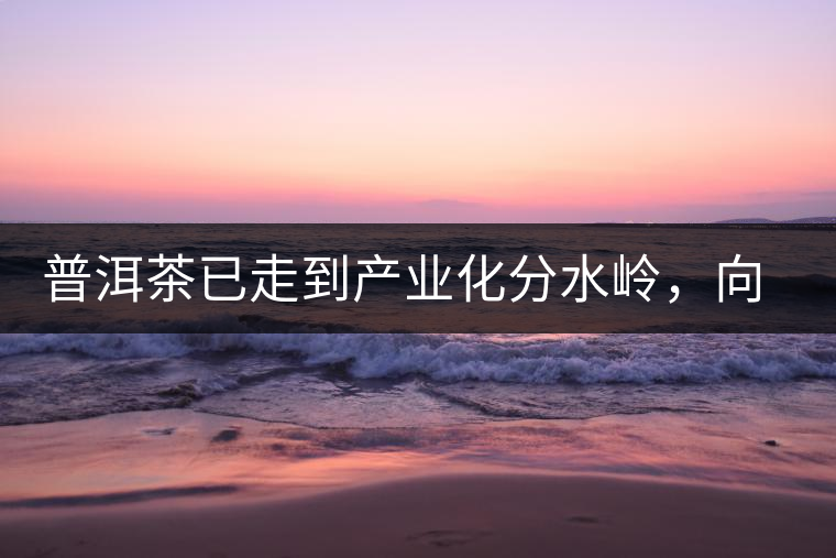 普洱茶已走到產(chǎn)業(yè)化分水嶺，向左還是向右？