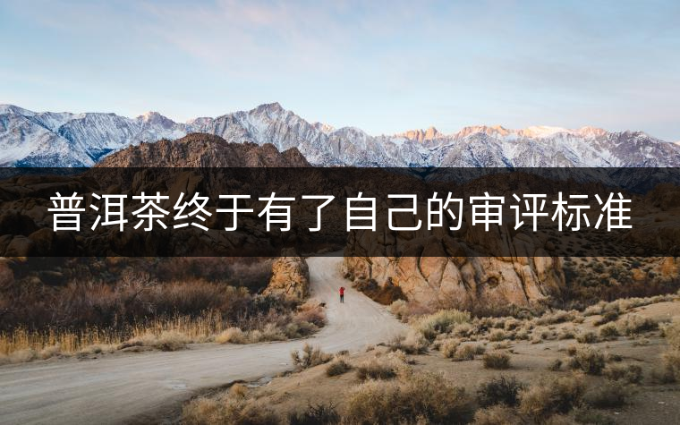 普洱茶終于有了自己的審評(píng)標(biāo)準(zhǔn)