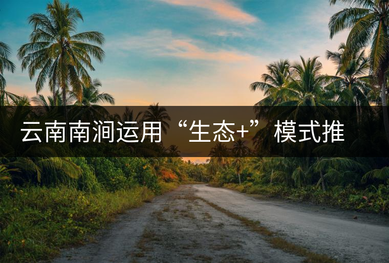 云南南澗運用“生態(tài)+”模式推動茶產(chǎn)業(yè)發(fā)展