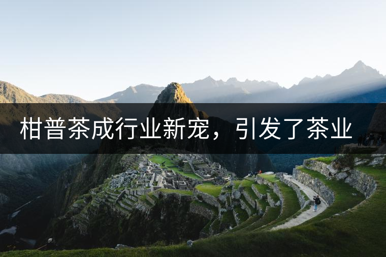柑普茶成行業(yè)新寵，引發(fā)了茶業(yè)市場新的機遇與爆點