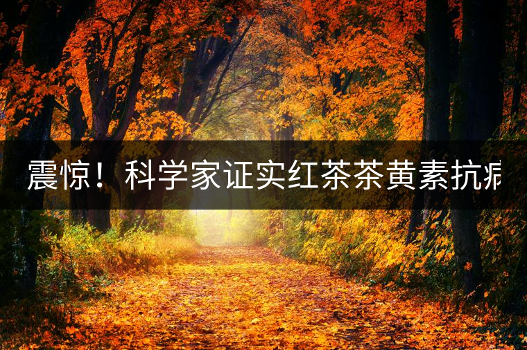 震驚！科學(xué)家證實(shí)紅茶茶黃素抗病毒新功能！