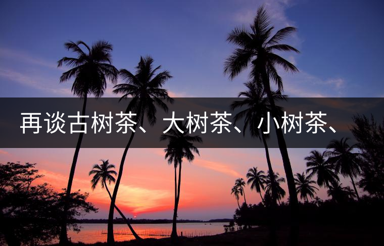 再談古樹(shù)茶、大樹(shù)茶、小樹(shù)茶、臺(tái)樹(shù)茶…