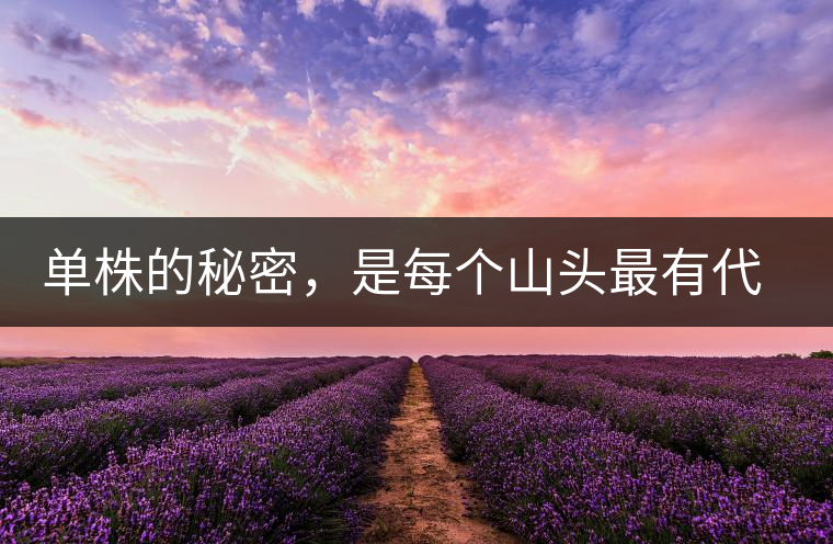 單株的秘密，是每個山頭最有代表性的味道？