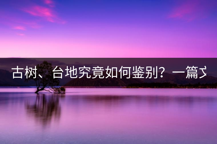 古樹、臺地究竟如何鑒別？一篇文章說透！