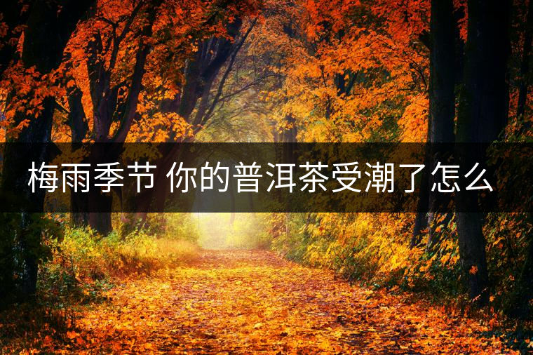 梅雨季節(jié) 你的普洱茶受潮了怎么辦？