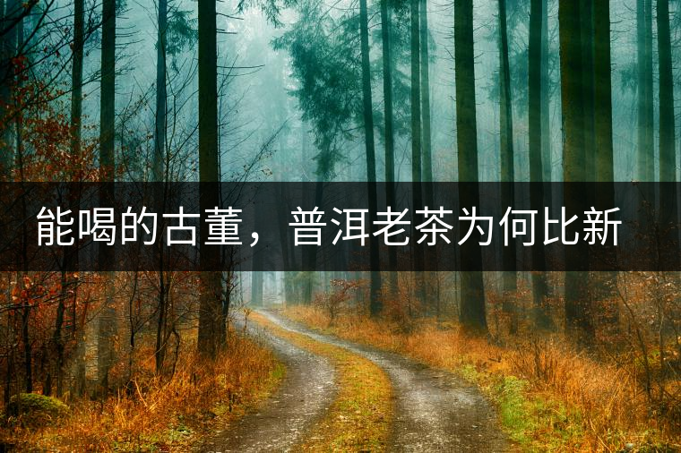 能喝的古董，普洱老茶為何比新茶更值錢？