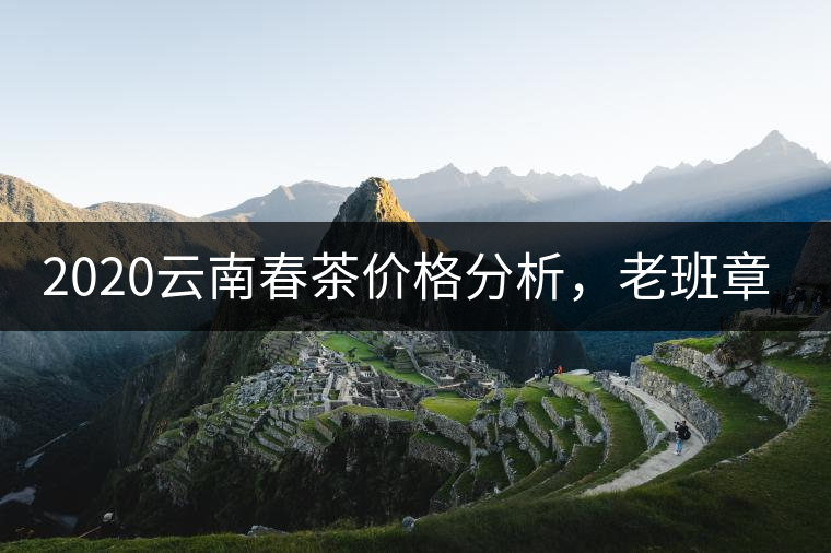 2020云南春茶價(jià)格分析，老班章依然將獨(dú)占鰲頭？