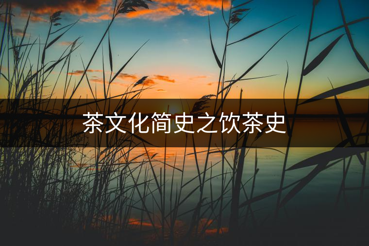茶文化簡(jiǎn)史之飲茶史 茶文化簡(jiǎn)史之飲茶史