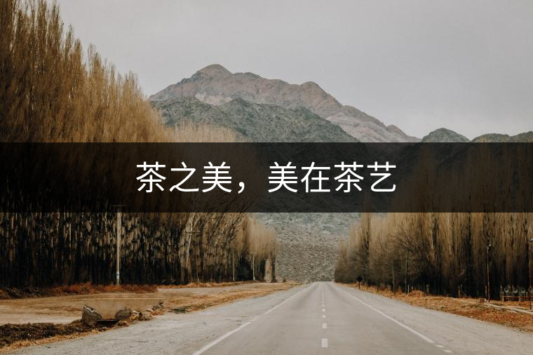 茶之美，美在茶藝