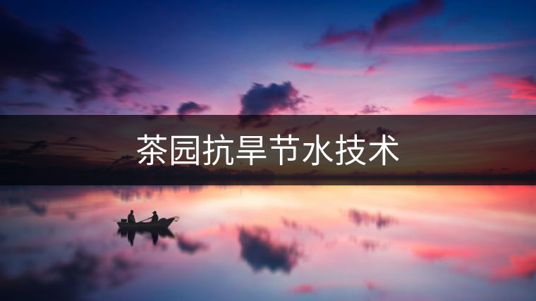 茶園抗旱節(jié)水技術