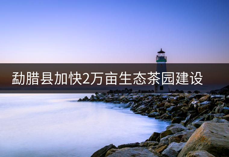 勐臘縣加快2萬畝生態(tài)茶園建設，促進茶葉產(chǎn)業(yè)持續(xù)發(fā)展