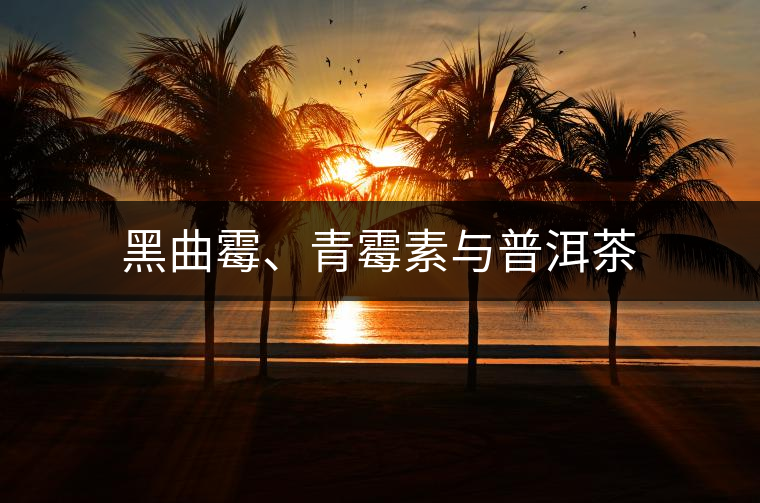 黑曲霉、青霉素與普洱茶