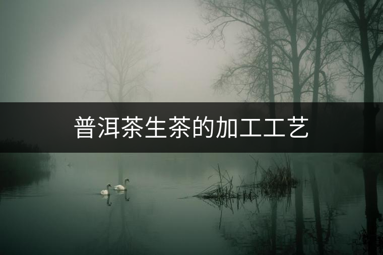 普洱茶生茶的加工工藝