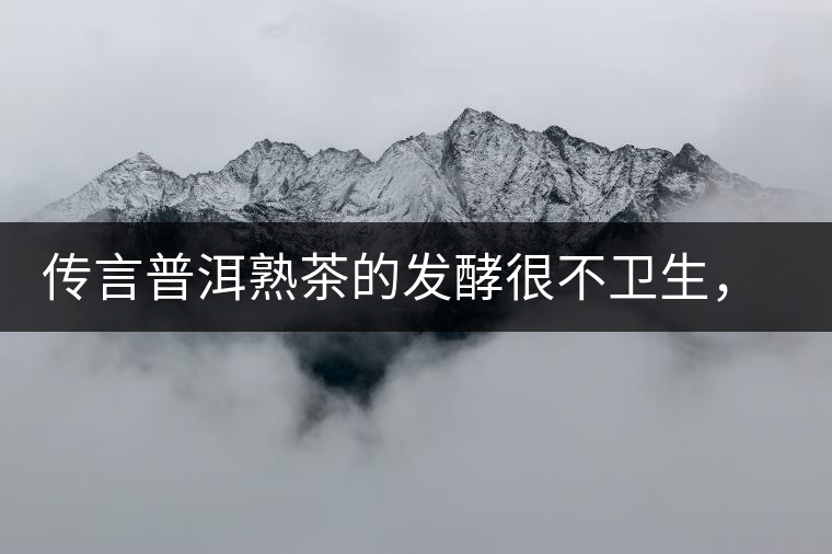 傳言普洱熟茶的發(fā)酵很不衛(wèi)生，是真的嗎？