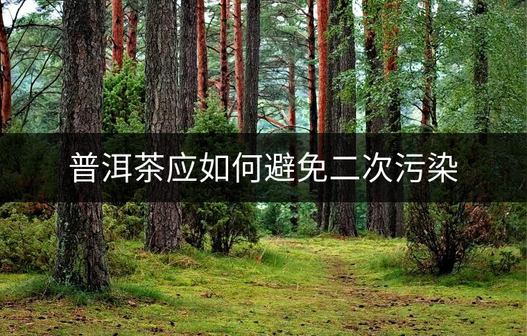 普洱茶應如何避免二次污染 普洱茶應如何避免二次污染