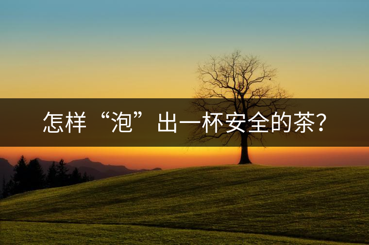 怎樣“泡”出一杯安全的茶？