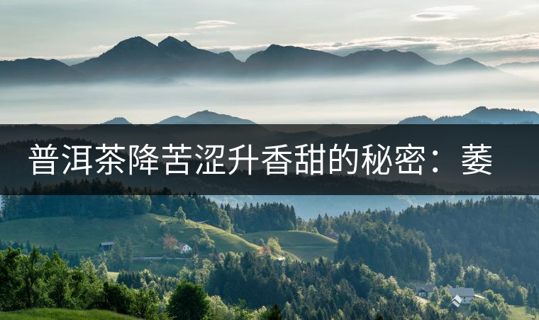 普洱茶降苦澀升香甜的秘密：萎凋